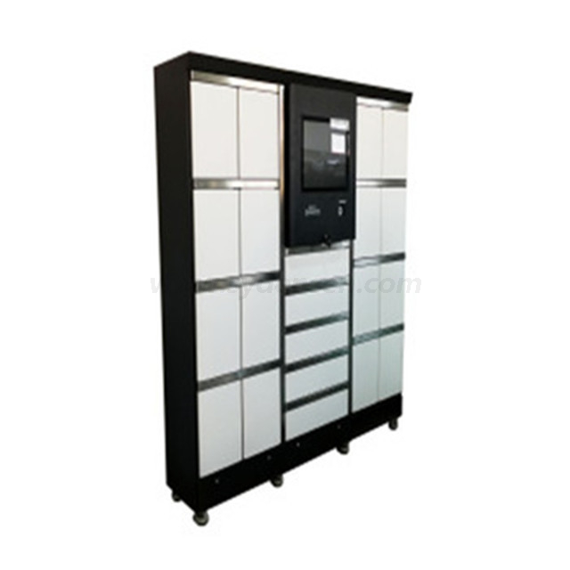 Densen customized Bank smart parcel lockers, smart postal delivery lockers, apartment cabinets with touch LCD screens