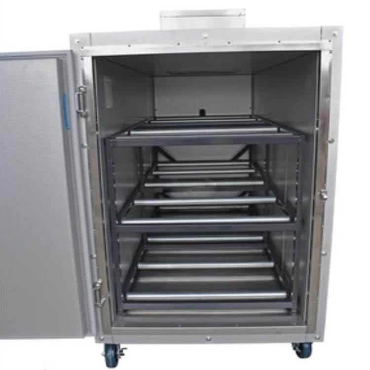 Densen Customized Three bodies morgue refrigerator corpses cabinet mortuary coolers