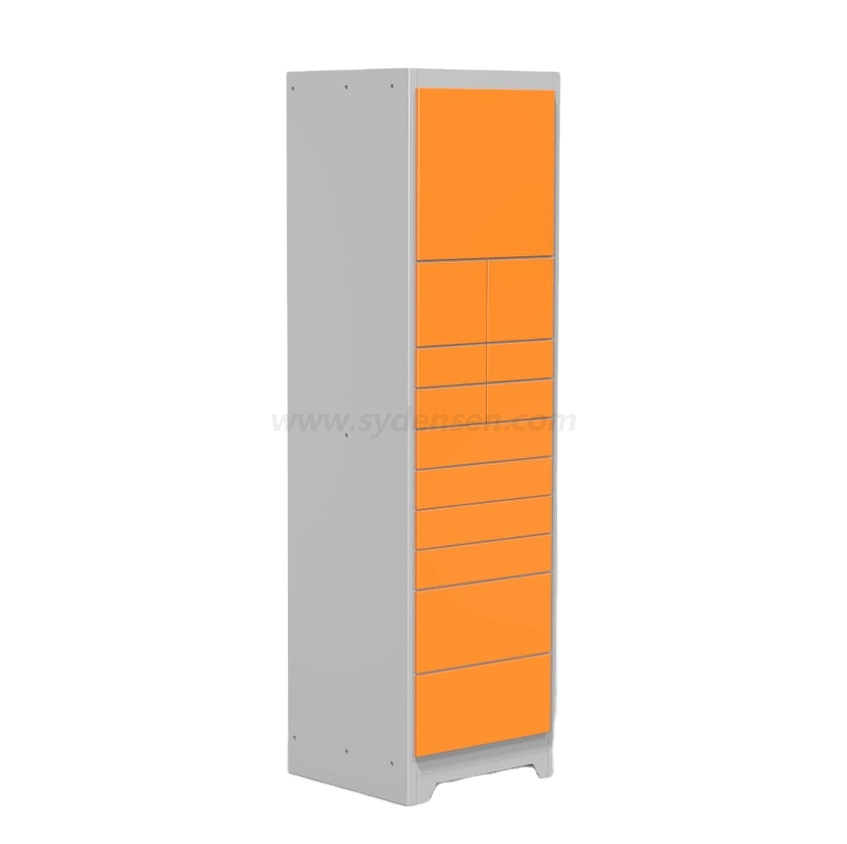 Densen Customized Safety Reliable and Smart Electronic Lockers For Supermarket Bank School Parcel Delivery Laundry
